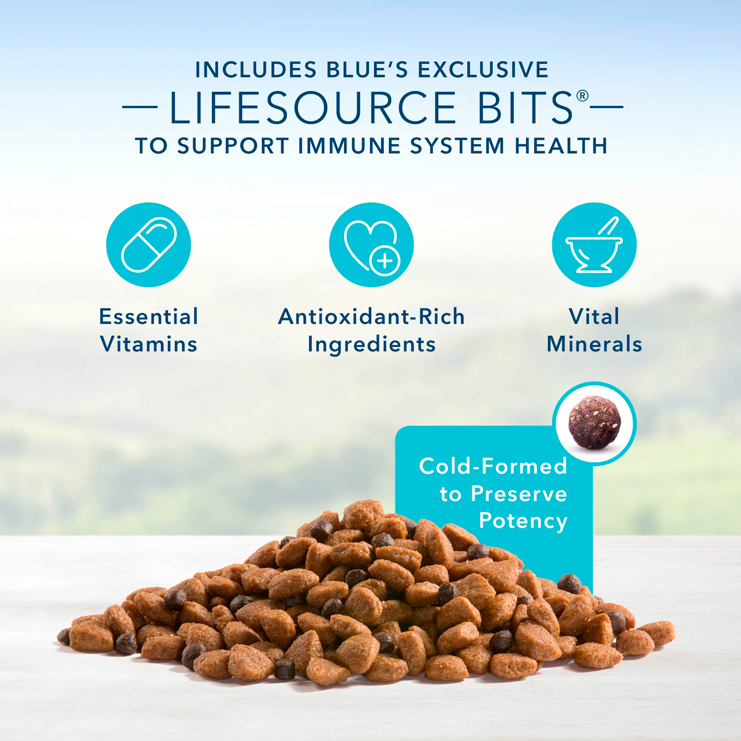 Blue Buffalo Life Protection Formula Chicken and Brown Rice Dry Dog Food for Senior Dogs, Whole Grain, 5 lb. Bag - immagine 4